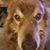 Dean Braaten's profile image