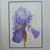 Anna Gregg's profile image