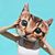 Alyssa Tucker's profile image