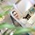 Ummarah Faizan's profile image