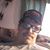Ernest E Pappas Jr's profile image