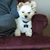 Katie Lamke Wampler's profile image