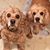 Kimberly Janine's profile image