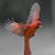 Deb Kelley Hibshman's profile image