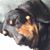 Salonee Sinha Roy's profile image