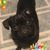 Ruth Camero's profile image
