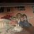 Susan McCarren- Velez's profile image