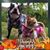 Herlinda Terriquez's profile image