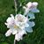 Jessica Relyea Ahearn's profile image