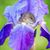 Debra S Barkley's profile image