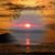 Joyce Welch's profile image
