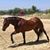 Annette Hetherington-Power's profile image