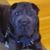 Tami Conway's profile image