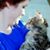 pixiedee55's profile image