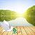 Sandra Elkins Roth's profile image