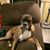 Crystal Archdeacon's profile image