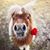 Juleen Pipe Dettbarn's profile image