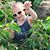 Brian Boisvert's profile image