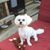 Karen Hoban's profile image