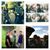 Jordan James Casby-Bougie's profile image