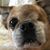 Lorenna Tippins's profile image