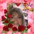 Lesli R. Mulligan's profile image