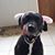 Sherry Barton Rock's profile image