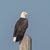 Gary Sloat's profile image