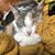Patty Claybrooke's profile image