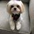 Linda Meyerhoeffer's profile image