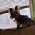 Bonnie Kay's profile image