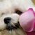 Mealene Midletown's profile image