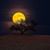 Loretia Mae Jones-Boudreau's profile image