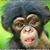 Michael Mims's profile image