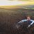 Shelby Smith's profile image