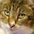 Paul Netzel's profile image