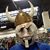 Chazz Latham's profile image