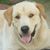 Rose Mary McMahen's profile image