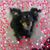 Susan Purdy-McKay's profile image