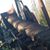 Gretchen Wright's profile image