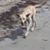 David Mauk's profile image