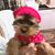 Maria Ortiz's profile image