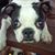 Delaney Trimble-Root's profile image