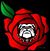 Alan Lewis's profile image