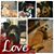 Darlene Eshman's profile image