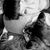 Diane Tranter Dinch's profile image