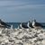 Janet Waldrop Creswell's profile image