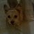Julie Breeding's profile image
