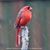 Sally Daffner's profile image