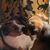 Laura Leadlove-Woepke's profile image